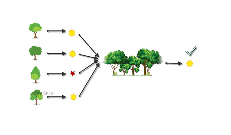 Random Forest - A Multitude of Decision Trees